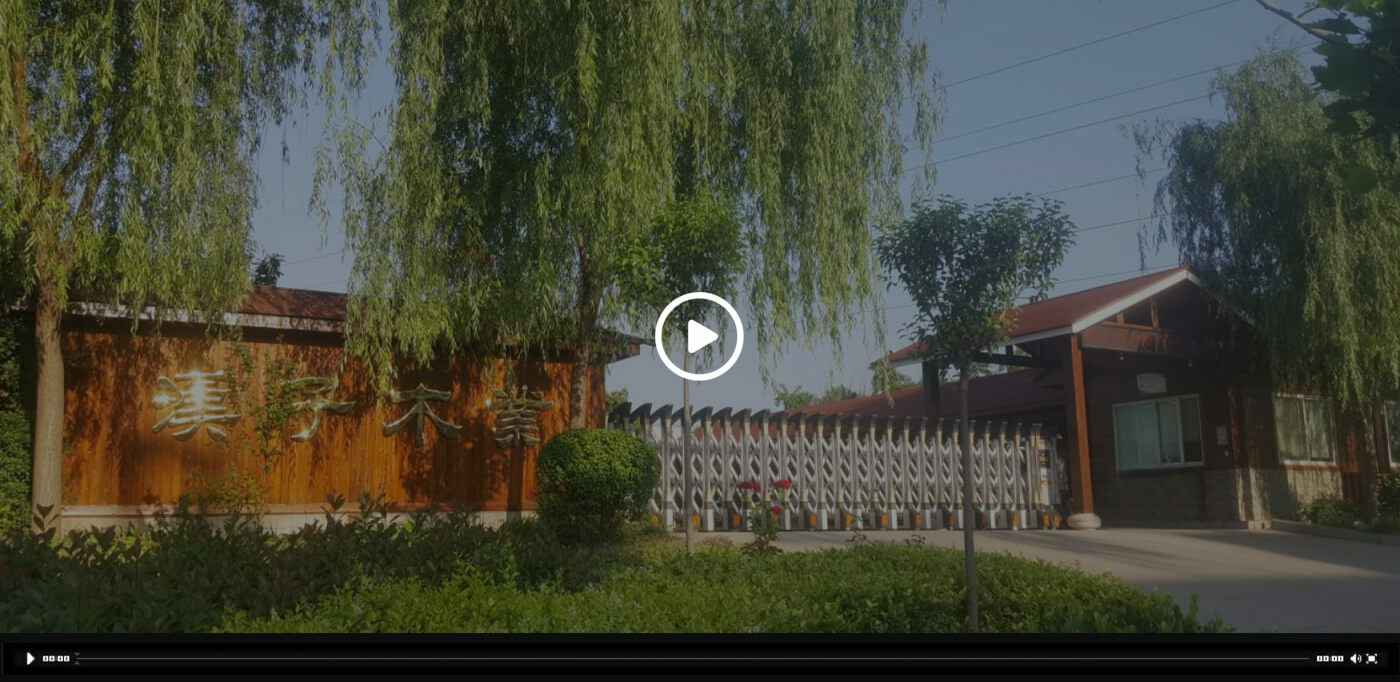 大连兴邦资产管理服务有限公司